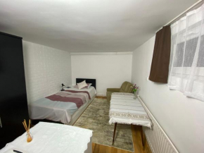 Casa Ardeleana